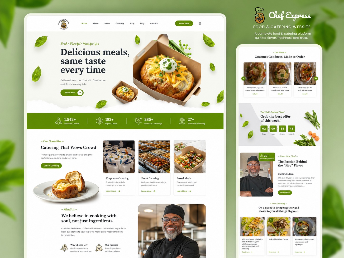 Website design portfolio 1